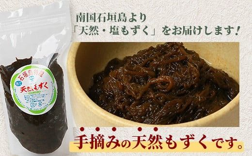 石垣島産天然もずく10パック・内容量450g×10 合計4.5kg【 沖縄県 石垣市 天然 水雲 海藻 もずく フコイダン 常温保存 塩もずく 】SI-64