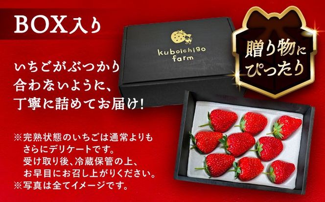 【先行予約】 ＼毎年12月より順次発送／ 紅ほっぺ 9粒 いちご 果物 フルーツ 愛西市 / くぼ苺農園 【配達不可：北海道・沖縄・離島】[AECJ008]