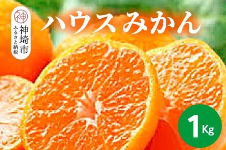 yꌧ_szy2026N6{蔭JnznEX݂ 1kgy݂ Ⓚ݂ k t[c fU[gz(H116138)