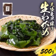【先行予約】 産地直送 早採り生わかめ 新物 冷蔵 500g 期間限定 ★2026年1月中旬～発送予定★ わかめ ワカメ 早採りわかめ 生わかめ 三陸 小分け 若芽 海藻 海産物 味噌汁 ごはん 夕飯 おかず 小分け しゃぶしゃぶ サラダ 岩手県 国産 大船渡