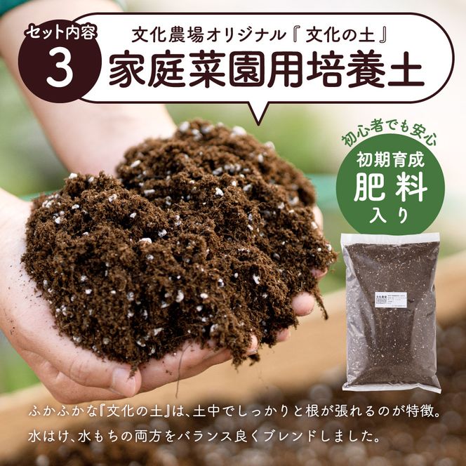 011BK01N.はじめての家庭菜園キット「サラダガーデン」（プランター色：ブラック）