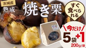 【 期間限定 +1袋 】 【 吉原農場 の 完熟栗 】 熟成 焼き栗 5袋 ⇒ 6袋 ( 1kg ⇒ 1.2kg ) 令和7年産 完熟 栗 くり クリ 栗ごはん 贈答 ギフト 果物 フルーツ 数量限定 旬 秋 冬 正月 おせち [CX001ci]