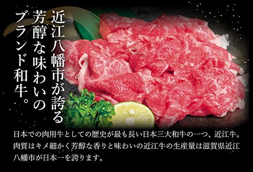 【げんさん】近江牛A5ランク切落し【500g】【訳あり】【DG12W】