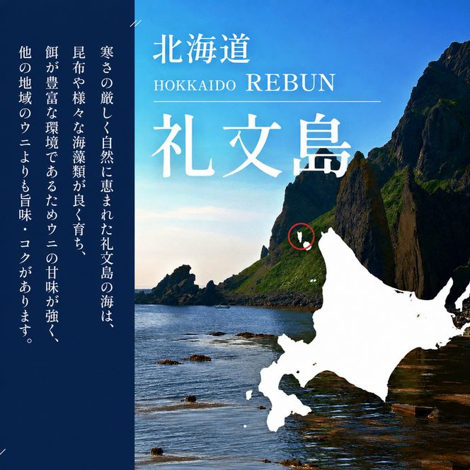 北海道 礼文島産 ミョウバン不使用 塩水ウニ エゾバフンウニ 100g×2パック［野崎水産］【 うに ウニ 雲丹 生うに 塩水うに バフンウニ 素材本来の味 海鮮 うに丼 濃厚 甘み 産地直送 】