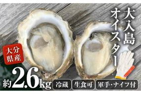 真ガキ 大入島オイスター (約2.6kg) 牡蠣 かき カキ 貝 海鮮 魚介類 冷蔵 生食可 シングルシード 養殖 大分県 佐伯市【ED09】【(合)新栄丸】