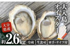 真ガキ 大入島オイスター (約2.6kg) 牡蠣 カキ 貝 海鮮 魚介類 冷蔵 生食可 シングルシード 養殖 大分県 佐伯市【ED09】【(合)新栄丸】