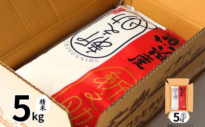 米 定期便 6ヶ月 新之助 5kg 精米 白米 お米 新潟米新之助  新潟米 新潟 十日町市 定期 6回