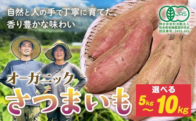 有機JAS認定 オーガニック さつまいも 選べる 5kg 10kg 農園ベルの樹《12月上旬-3月下旬頃出荷》熊本県 南阿蘇村 さつまいも オーガニック 有機栽培 薩摩芋---sms_blkost_ak123_r7_11500_5kg---