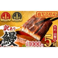 【0254362a】＜訳あり＞東串良町のうなぎ蒲焼(無頭)(5尾以上・計約1kg・タレ、山椒付) うなぎ 高級 ウナギ 鰻 国産 蒲焼 蒲焼き たれ 鹿児島 ふるさと 人気【アクアおおすみ】