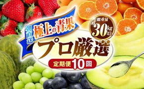 【10回コース】果物屋が選ぶ旬のフルーツ定期便 いちご メロン びわ みかん 梨 柿 など / 南島原市 / 贅沢宝庫[SDZ062]
