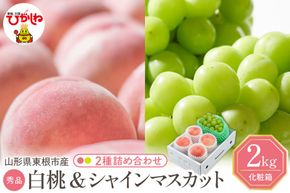 【2026年】東根市産 白桃（品種おまかせ）＆シャインマスカット 詰め合わせ 秀品 化粧箱入り 2kg 山形県 東根市 hi027-243