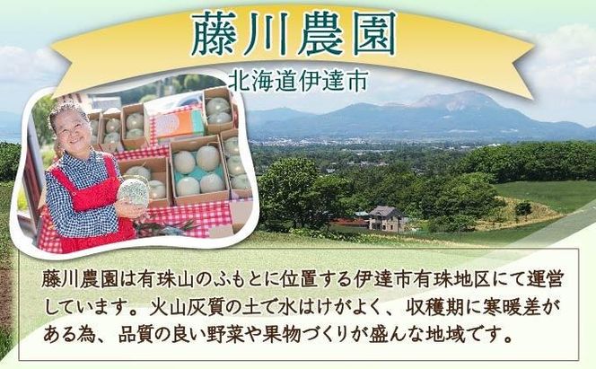 ＜2026年先行予約＞北海道産 有珠メロン 2玉 セット 赤肉 Lサイズ 1.6kg以上×2玉 ツル付き レッドルピア 果物 めろん フルーツ くだもの 完熟 旬 ご褒美 ギフト お祝い 産地直送 お取り寄せ 北海道 藤川農園 送料無料 伊達