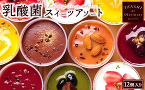 乳酸菌スイーツアソート12個入 　パティスリー天使のおくりもの　※離島への配送不可