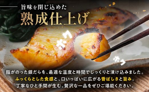 銀だら 西京漬け 8切