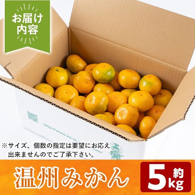 ＜期間・数量限定＞こだわりみかん(5kg)国産 ミカン 柑橘 果物 フルーツ 温州 期間限定【鹿児島いずみ農業協同組合】a-14-48