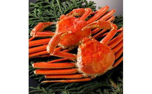 y挧khz755.y{Czy2025N11z tɁyuh^Otz 2ti1kg×2tj 313726_BS002VC02