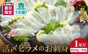 【冷蔵】縁側も美味！延岡産活〆ヒラメのお刺身 N019-YA852