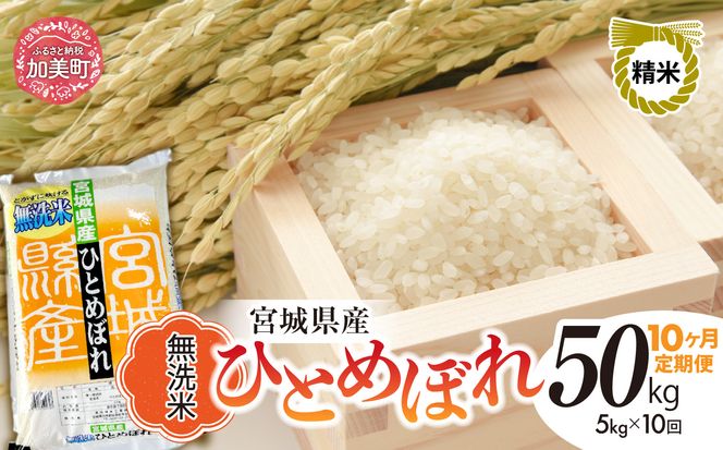 y{錧zy10ցzR7 {錧Y ЂƂ߂ڂ  5kg×10 [ {錧   ]   R  sw-hb05-mu-t10-r7