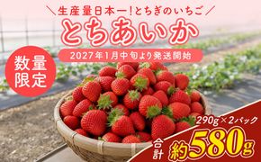 【先行予約】いちご 厳選！さくら市産 とちあいか（290g×2パック） ※2027年1月～発送