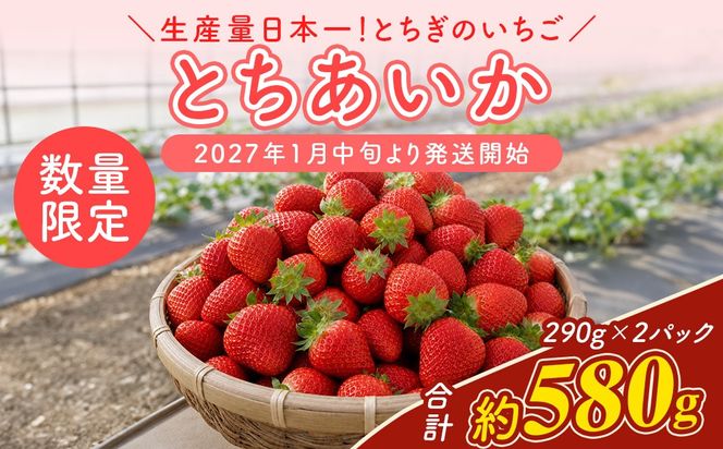 【先行予約】いちご 厳選！さくら市産 とちあいか（290g×2パック） ※2027年1月～発送