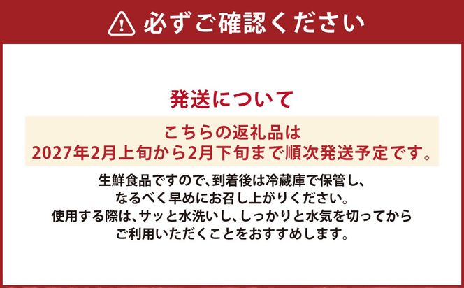 アサツキ 200g×5束 【2027年2月上旬以降順次発送】 