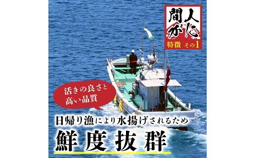 （訳あり）活間人がに 2匹 Aセット　1/22～2/21発送予定　HI00007_04