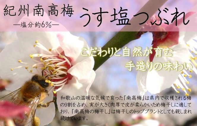 YD1001_紀州南高梅うす塩つぶれ（塩分約6％）700ｇ×2