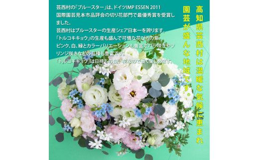 【CF-R7hbk】HNS003　《先行予約》芸西村のお花を使ったアレンジメント（大）
