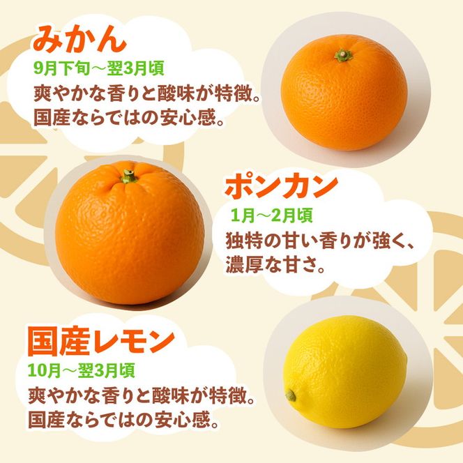 ＜1月より発送＞厳選 柑橘詰合せ5kg+250g（傷み補償分）◇【有田の春みかん詰め合わせ・フルーツ詰め合せ・オレンジつめあわせ】【光センサー選別】 ※北海道・沖縄・離島への配送不可 ※2026年1月上旬～4月下旬頃に順次発送予定