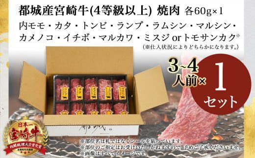 宮崎牛食べ比べ10種盛り焼肉セット≪みやこんじょ快速便≫_17-3102-R_(都城市) 都城産 宮崎牛 A4ランク 焼肉 セット 内モモ カタ トンビ ランプ ラムシン マルシン カメノコ イチボ マルカワ ミスジorトモサンカク 10種類 贈答用 14日以内にお届け  ギャル曽根さんおすすめの牛肉返礼品