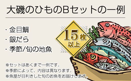 159-2003-08　【定期便6か月】おおいその干物Bセット（15枚以上）／ 季節で変わる旬な訳あり品 【 ひもの 魚 天日干し 神奈川県 大磯 湘南 特産品 6回お届け 神奈川県 大磯町 自家製干物 贈答品 地魚 お歳暮・お中元】