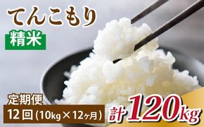 【12ヶ月定期便】富山県滑川産「てんこもり」与文のお米（精米10kg）×12回 計120kg 産地直送 袋 精米10kg 30kg  おにぎり お米  国産 ご飯 ごはん 富山県 滑川市 アグリめぐみ O-050002