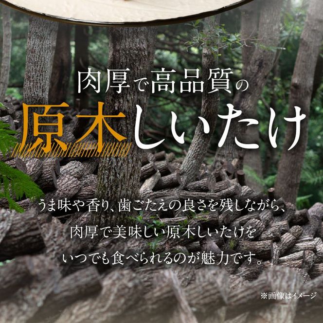冷凍しいたけ「ねむり姫」1kg N075-YZB032