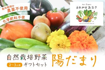 【数量限定】自然栽培野菜セット（陽だまり）　AB00006