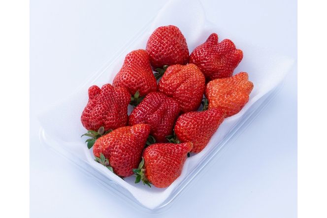 【2026年2月より順次発送】福岡産【春】あまおう6パック【南国フルーツ株式会社】_HA1907