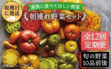 【全12回定期便】【福岡県糸島産】朝採れ 野菜 セット (10品前後) 《糸島》【オーガニックナガミツファーム】[AGE012]