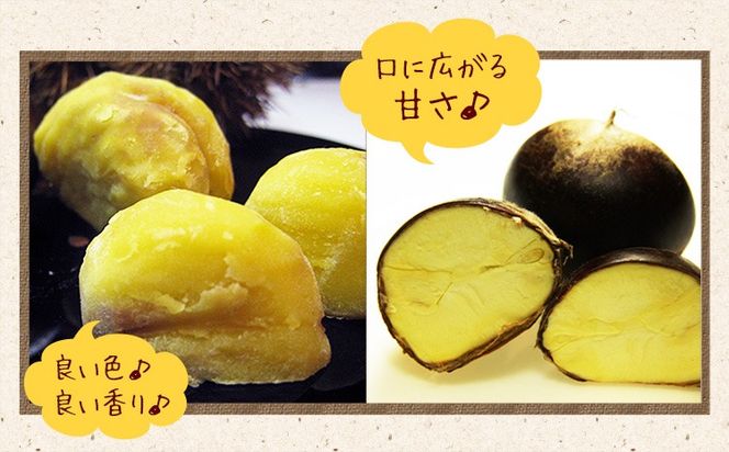 【先行予約】利平栗 熊本県御船町産限定 約1kg(3L-2Lサイズ)《2026年9月上旬-10月上旬出荷》期間限定 野菜 予約 スイーツ きんとん 甘露煮 渋皮煮 栗ご飯 熊本県御船町 栗---mifune_lcl_213_1---