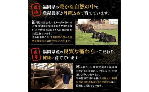 【A5ランク】 黒毛和牛 (博多和牛)  シャトーブリアンステーキ 150g×3枚【伊豆丸商店】_HA0215