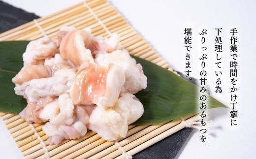 もつ鍋を程よく満喫！【6ヶ月定期便】【老舗人気店】博多本格もつ鍋セット 2～3人前