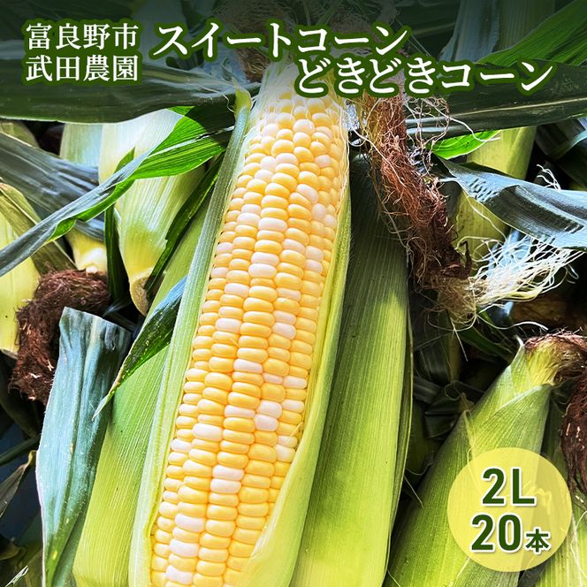 2026年夏発送 ［武田農園とれたて直送］スイートコーン どきどきコーン 2L 20本 北海道 富良野産 ( とうもろこし 野菜 新鮮 とうきび 甘い 産地直送 先行予約 限定 ）
