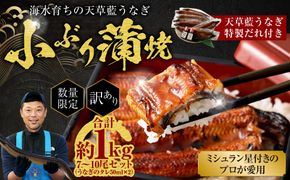 【数量限定】 【訳あり】 【ミシュラン星付きのプロが愛用】海水育ちの 天草 藍うなぎ 小ぶり 蒲焼 1kg（7～10尾）  養殖期間中 無投薬 鰻 ウナギ うなぎ うなぎ蒲焼 鰻の蒲焼 国産 【2026月6月下旬より順次発送予定】