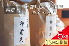 【令和7年産】新米 先行予約 5kg ×12回 京都・神前米 キヌヒカリ 5kg×12ヶ月 計60kg ☆精米したてをお届け ※2025年9月下旬以降順次発送 ≪減農薬 自家栽培米 生産農家 直送 米 精米 クリーン白米≫