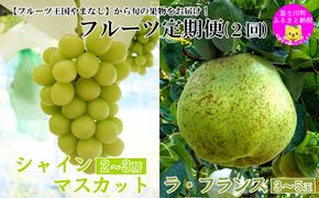 【2026年発送分】【やまなしフルーツ定期便（２回）】 シャインマスカット ～ 1kg以上（2-3房）＆ラ・フランス（1.5kg以上・３-５玉）　定期便　果物 フルーツ くだもの シャイン 洋ナシ 洋梨 洋なし 山梨 やまなし 富士川町