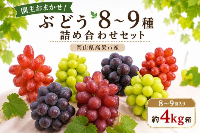 園主おまかせ！ぶどう8～9種詰め合わせセット8～9房入り 約4kg コンテナ茶箱 岡山県高梁市産