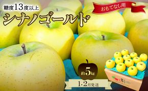 りんご【1月・2月発送】糖度13度以上 おもてなし用 家庭用 シナノゴールド 約5kg【青森りんご  果物 フルーツ デザート 食後 青森県産 産地直送 贈り物】