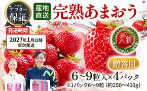 アフター保証 あまおう 6～9粒入り×4パック 【先行受付／2027年1月以降順次発送予定】いちご 大粒 不揃い DX デラックス エクセレント 苺 イチゴ 福岡高級 フルーツ 土産 福岡県