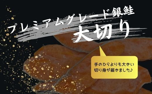 【3-202】銀鮭切り身 骨取り 無塩 3kg 無添加 3キロ 冷凍 鮭 プレミアム バラ凍結 ウロコ取り 骨なし さけ サケ しゃけ シャケ 切り身