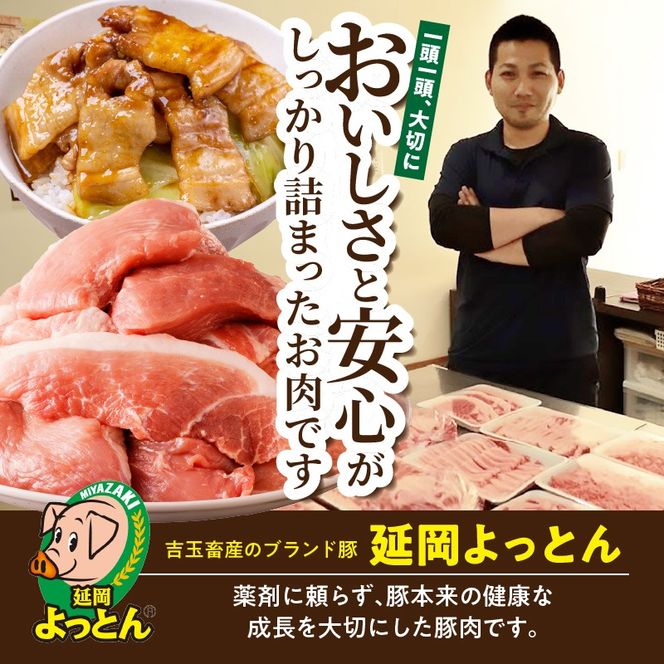 延岡よっとん ロースブロック約1kg N003-YA966