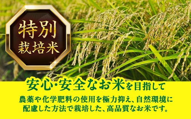 ＼2月発送分／あいちのかおり 白米 5kg / 戸倉トラクター[AECS001-02]