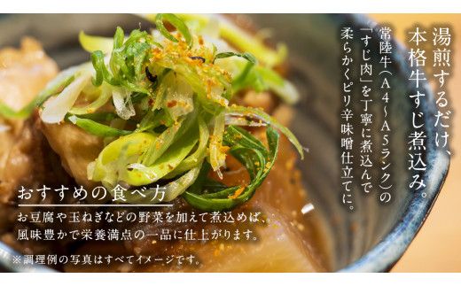 やわらか 常陸牛 すじ 煮込み 250g × 6パック (計 1500g )【茨城県共通返礼品】　牛すじ 牛肉 肉 和牛 にく 牛すじ肉 [FE024us]